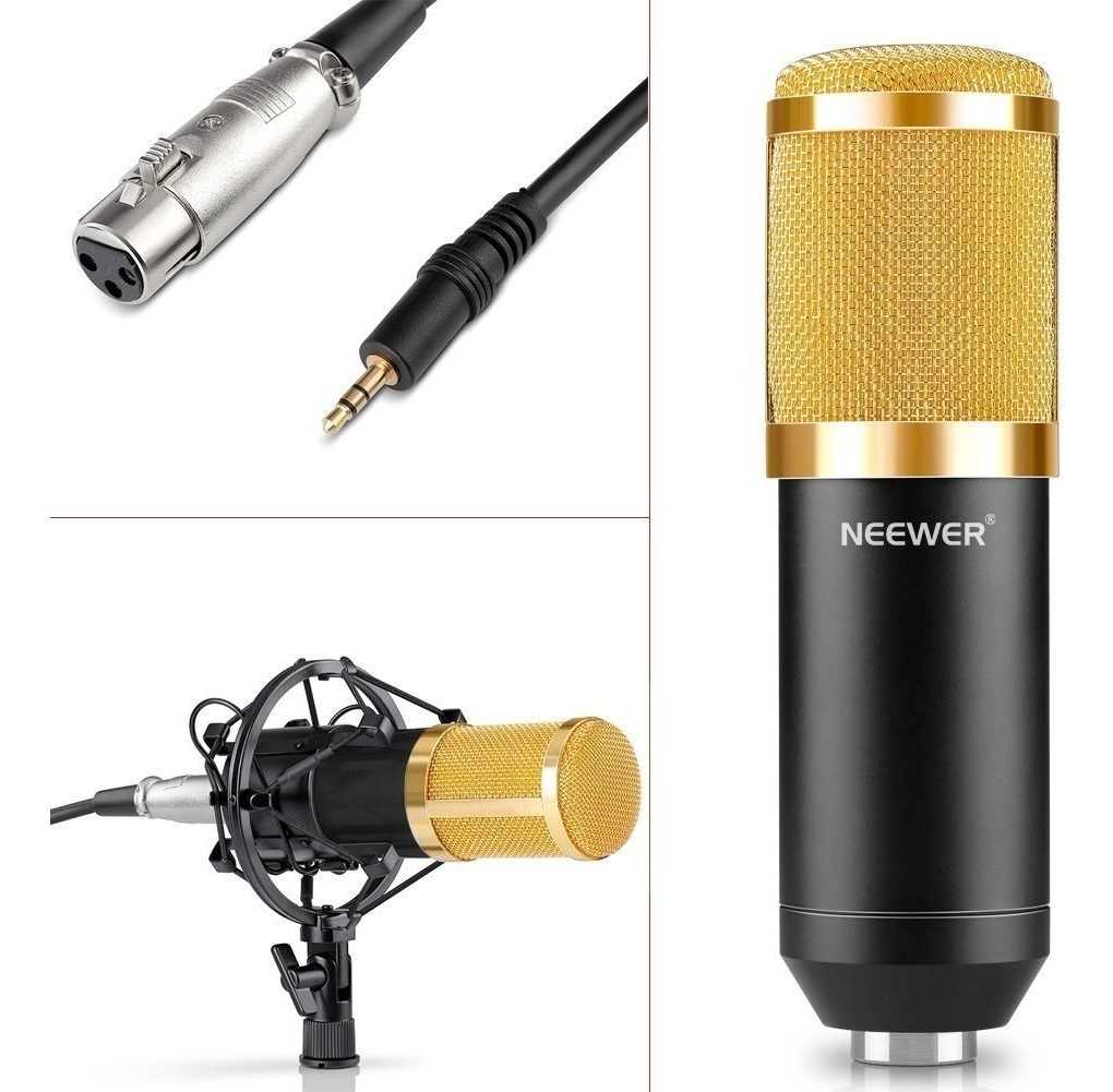 Kit Micrófono De Radio Y Grabación Neewer Nw 800 En Stock U S 95 00