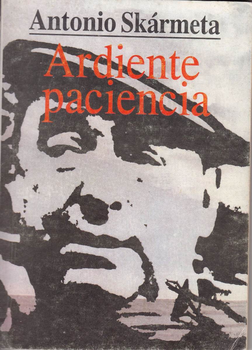 descargar libro ardiente verano pdf