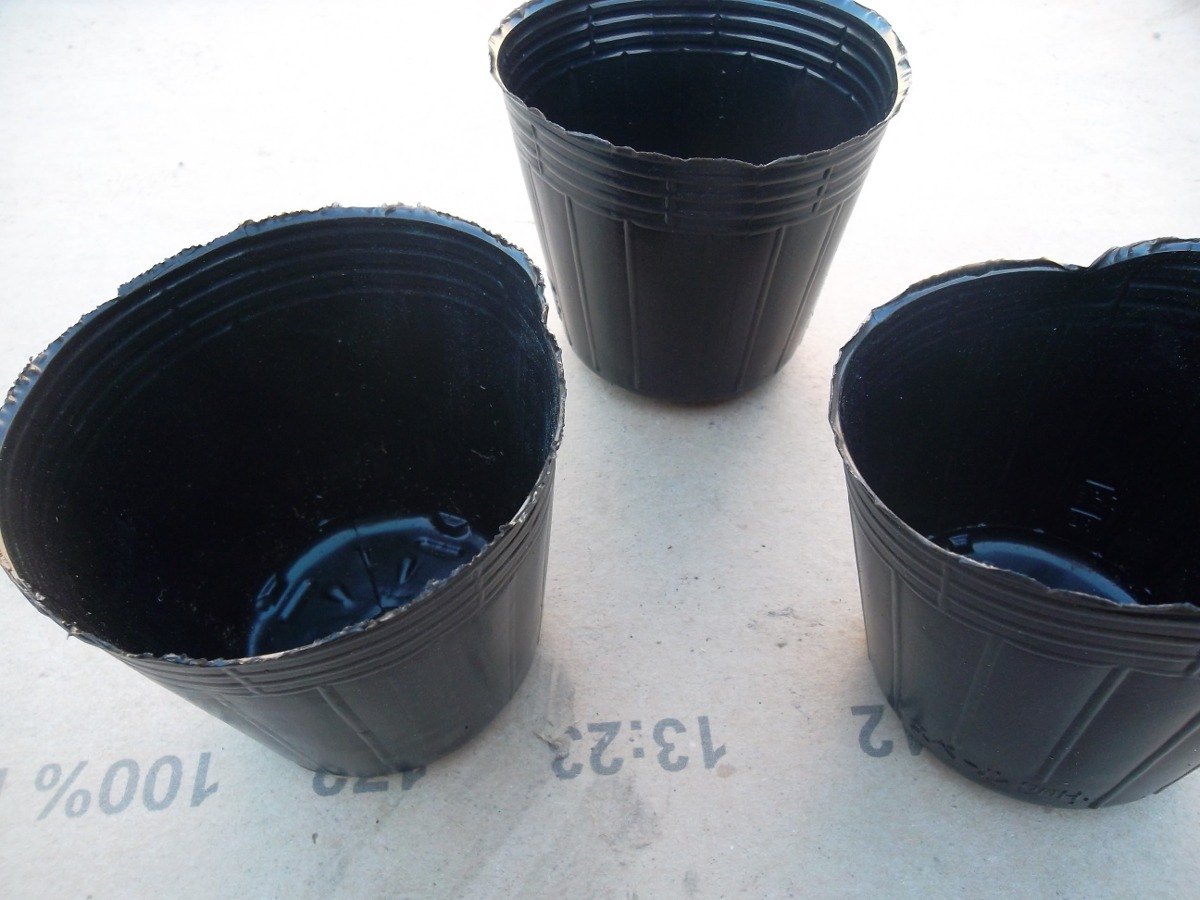 50 Macetas Negras Plasticas Plantas Vivero Florales De 12cm 250,00