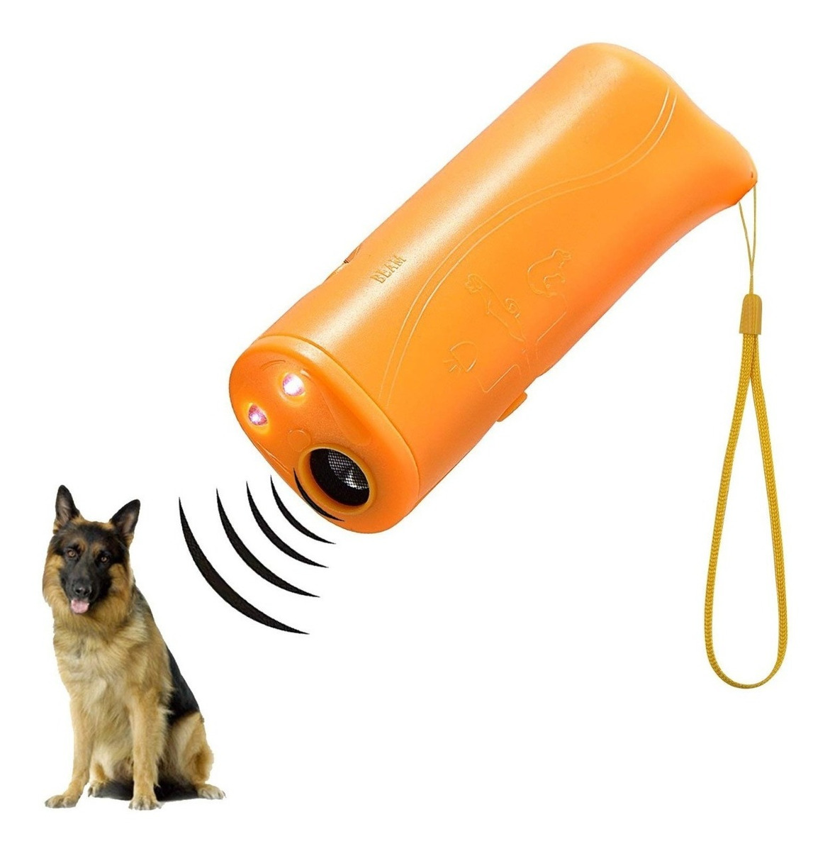 perro paralizante de erección nocturna