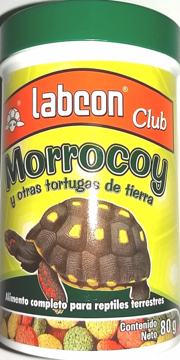 A para tortugas vitamina alimentos con