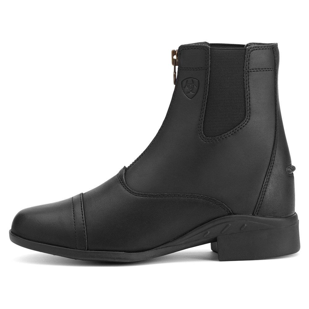 ariat scout chap