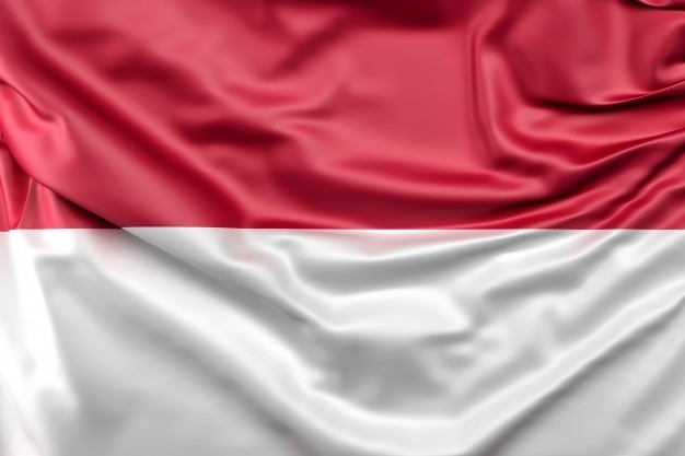 Bandera Indonesia 1,50mt X90cm - $ 450,00 en Mercado Libre