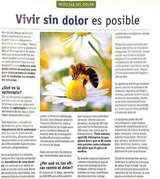 prostatitis y cortisona prostatitis y cortisona