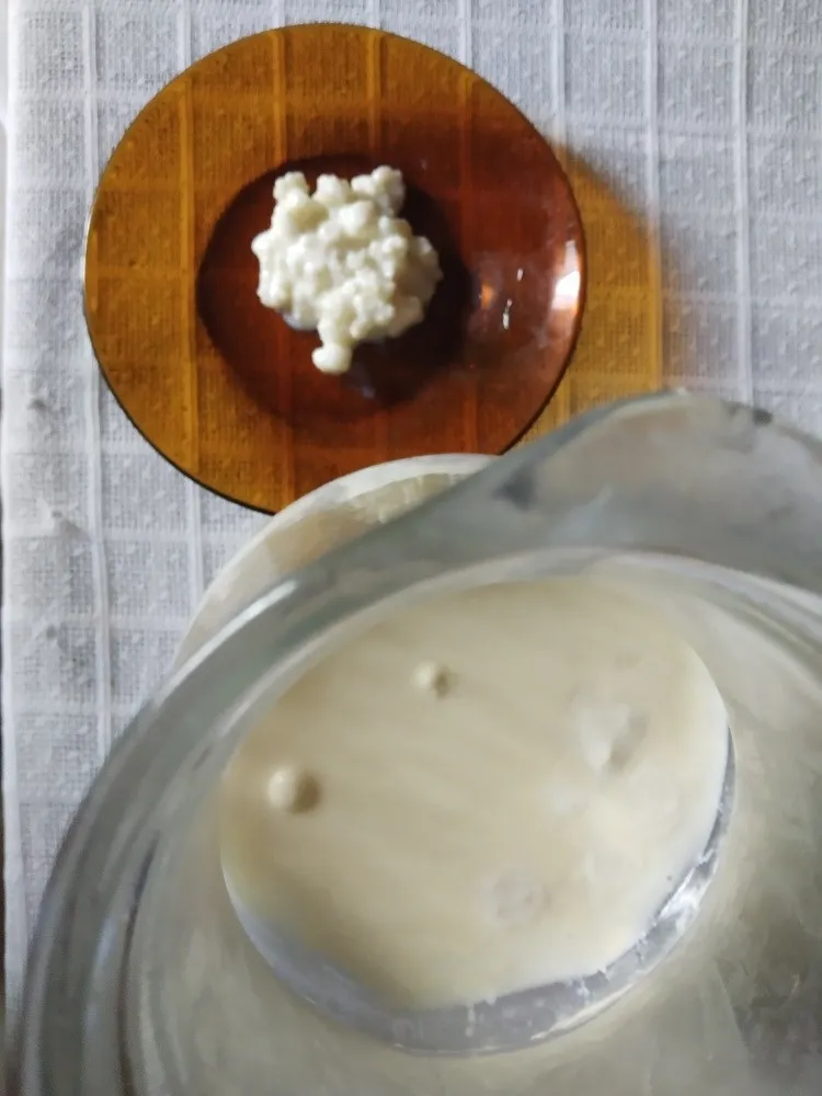 El kefir ayuda a adelgazar El kefir ayuda a adelgazar