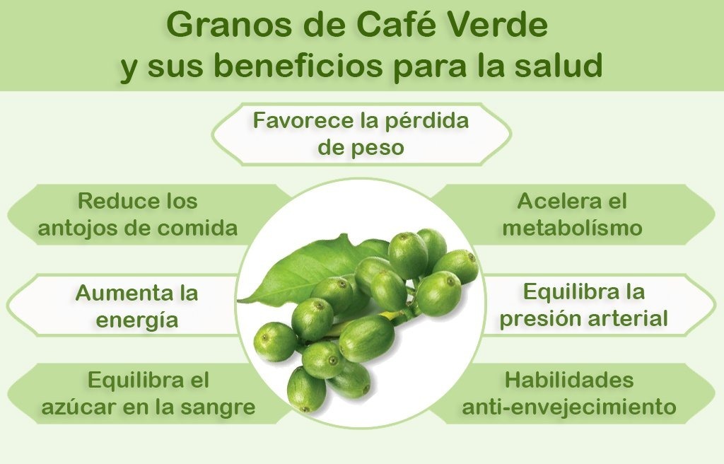 Durante cafe lactancia verde la