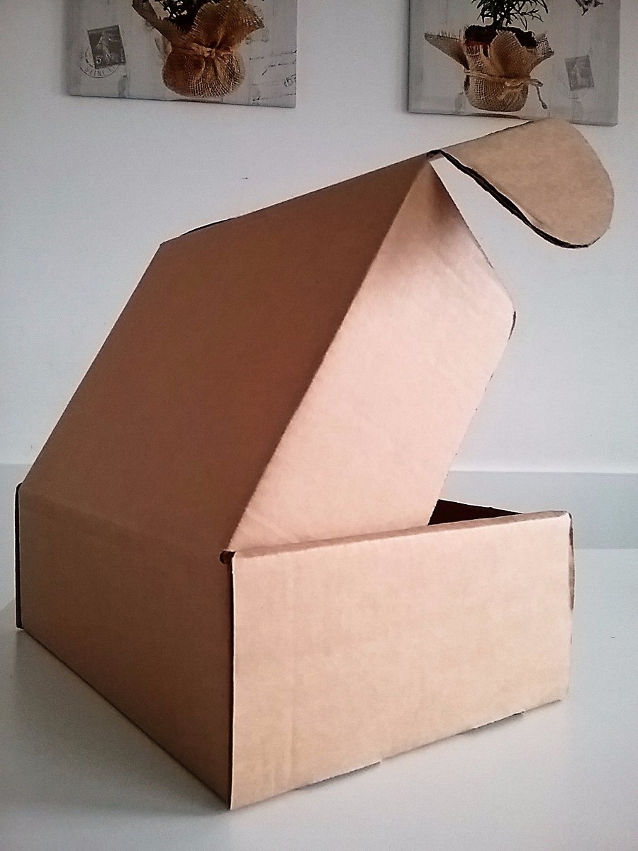 Caja De Carton Para Envíos Mediana 31 X 23 X 11 Cm 5000 En Mercado Libre 6857