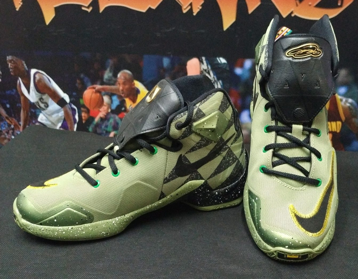 lebron 13 all stars