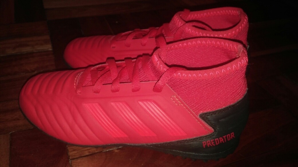 nuevos predator