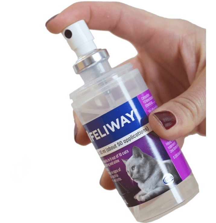 Feliway Spray Classic Feromonas Felinas - $ 1.389,00 en Mercado Libre Spray Para Que Los Gatos No Arañen
