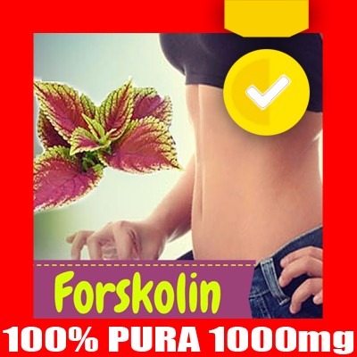 Forskolin pastillas para adelgazar