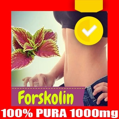 Pastillas para bajar de peso forskolin Pastillas para bajar de peso forskolin