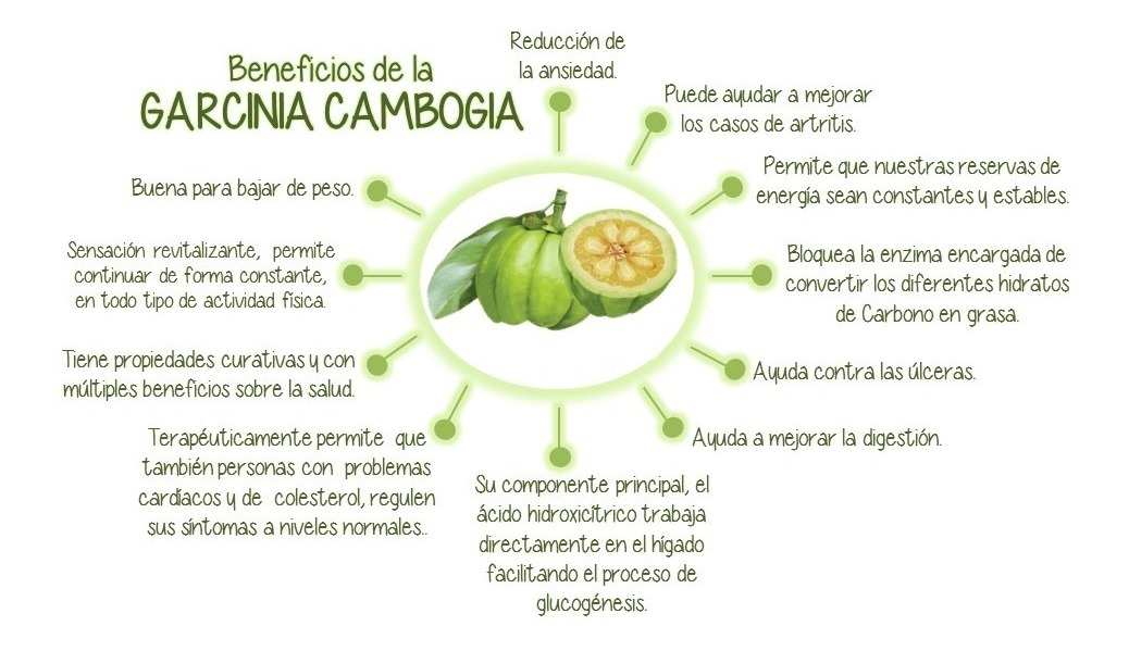 Garcinia cambogia para adelgazar como se toma