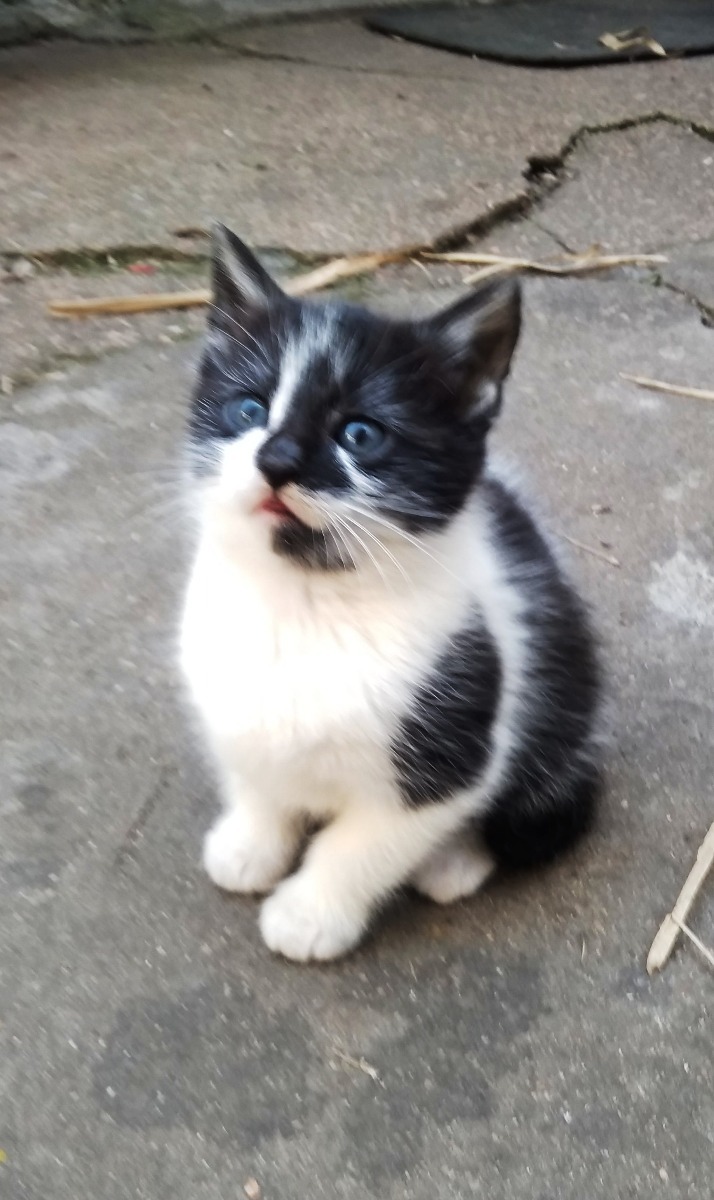 Bebe de mes y medio