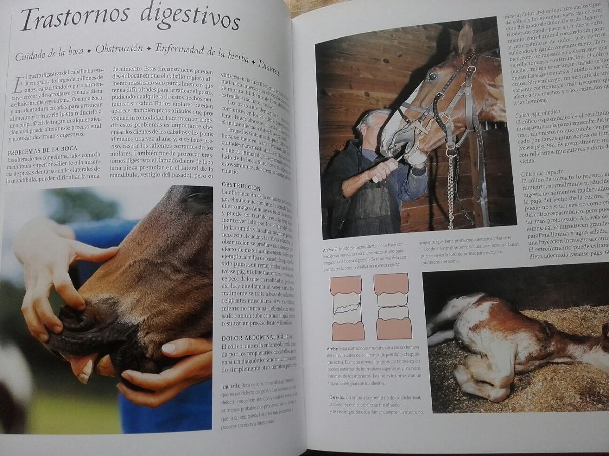 incomodidad del caballo vs el incomodidad del caballo vs el