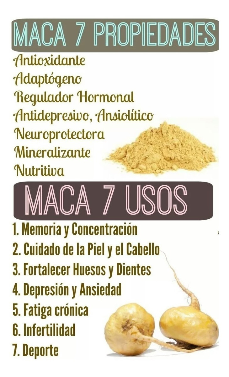 maca+propiedades+como+tomarla