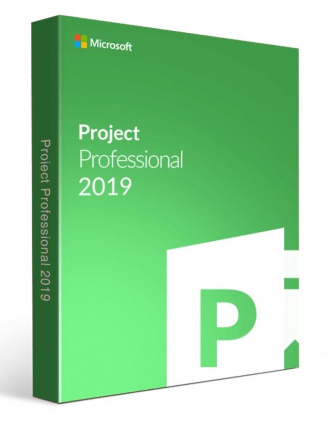 Microsoft project 2019 professional