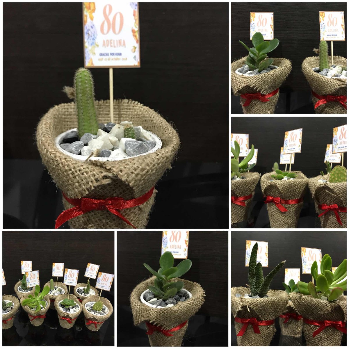 Mini Macetas Souvenirs! Cactus, Suculentas!! - $ 55,00 en Mercado Libre