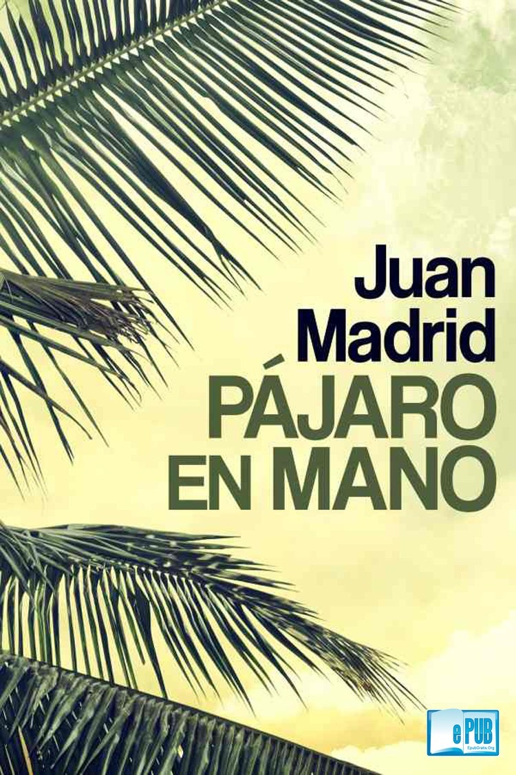 pajaro en mano juan madrid D NQ NP 962920 MLU28940421586 122018 F - Pájaro en mano - Juan Madrid [Audiolibro Voz Humana]