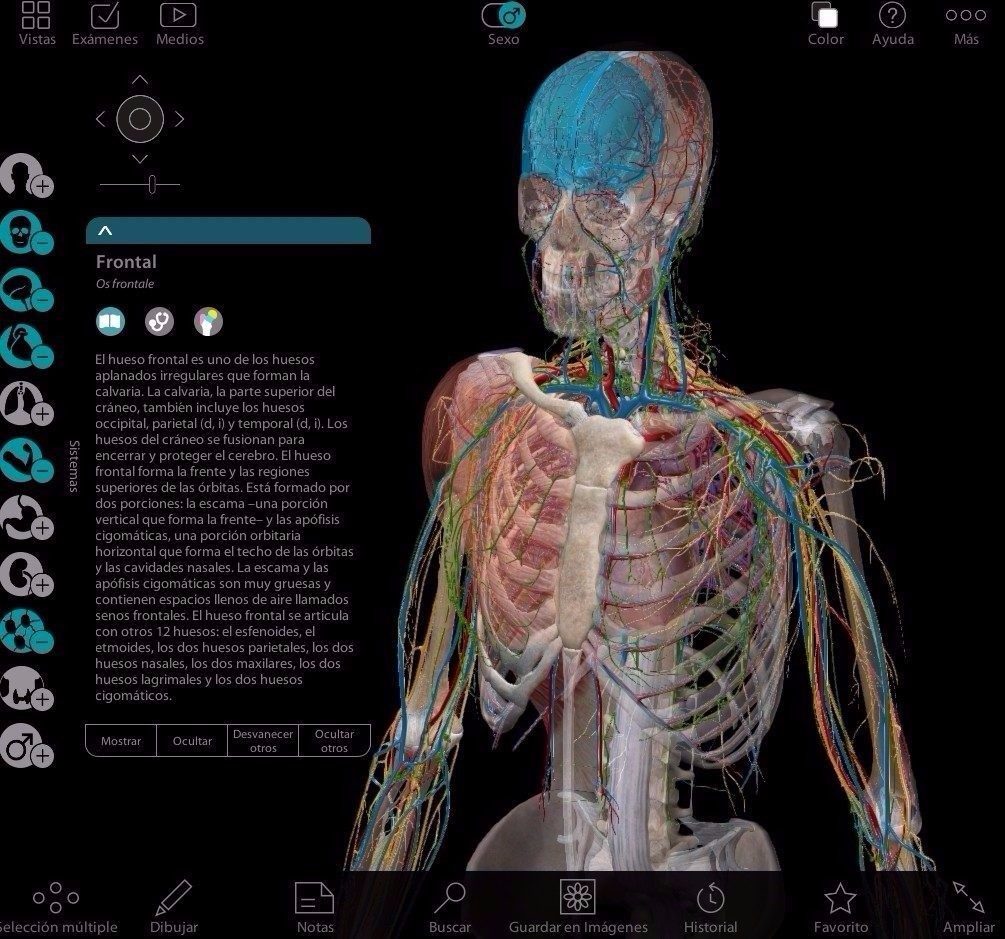 atlas de anatomia humana 3d - anatomia humana en espanol