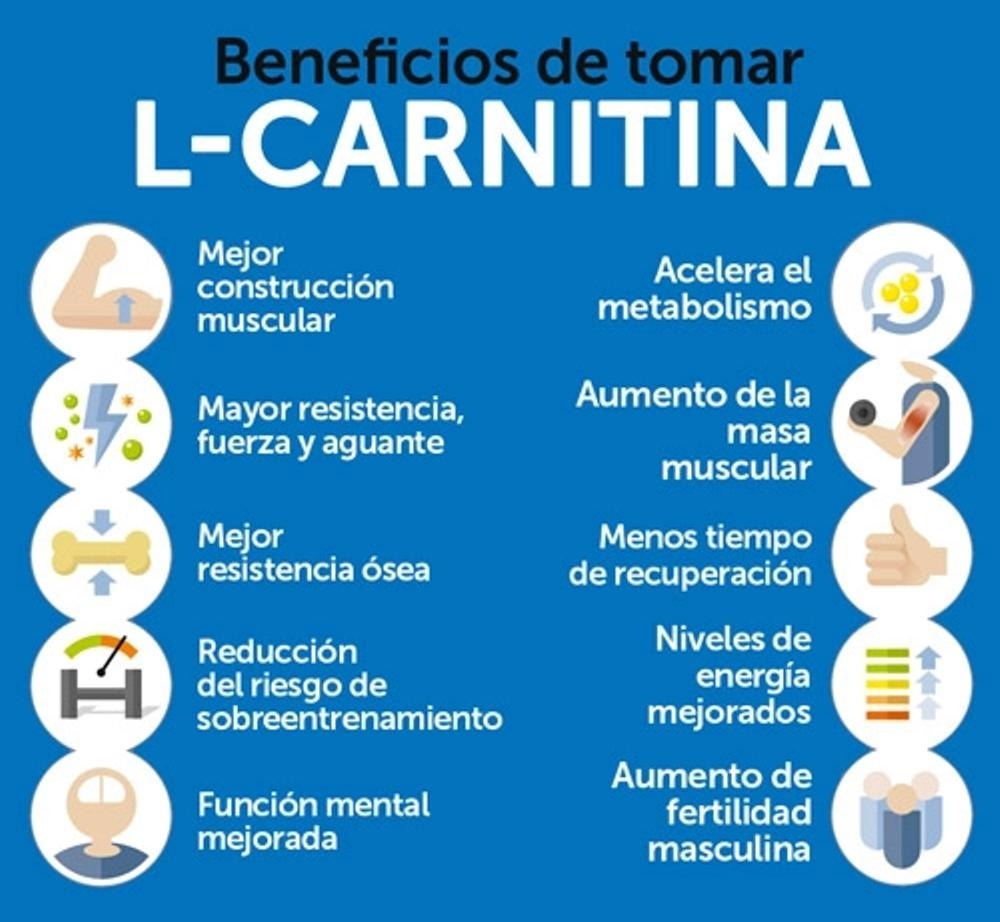 Suplemento l carnitina para que sirve