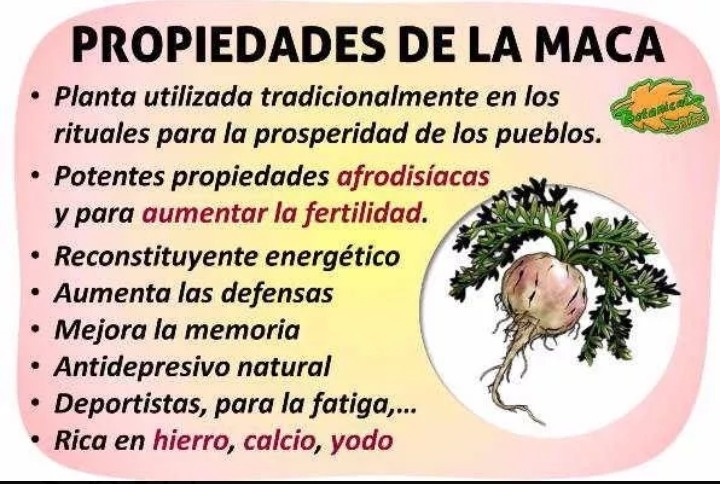 Que sirve se donde maca y consigue para