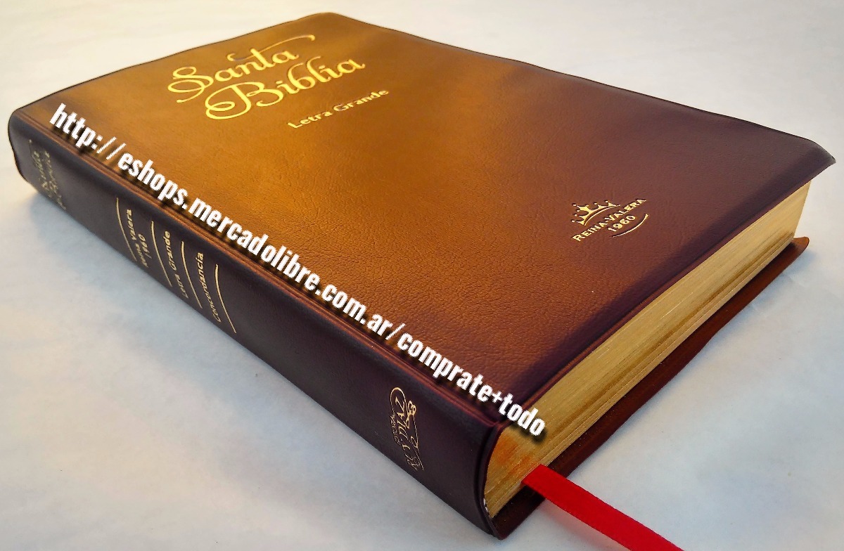 biblia reina valera 1960 letra super grande