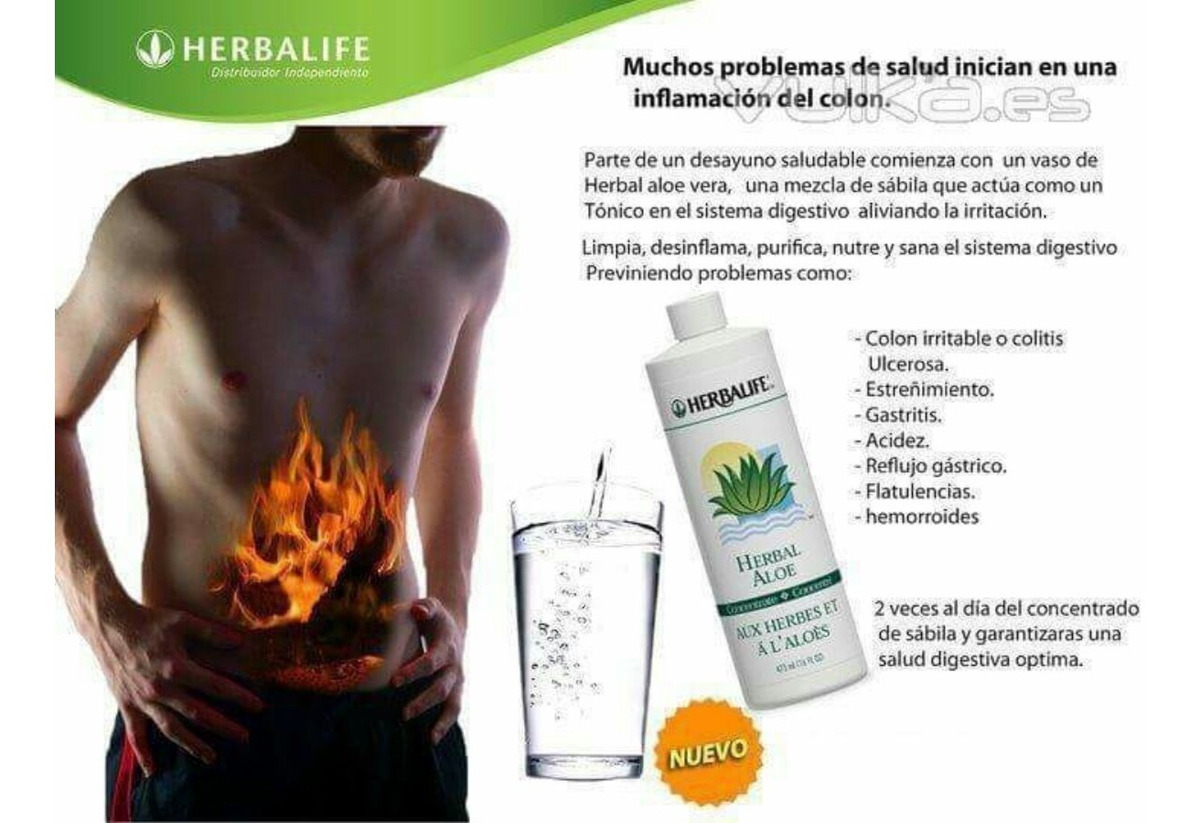 sistema 12 semanas de perdida de peso herbalife