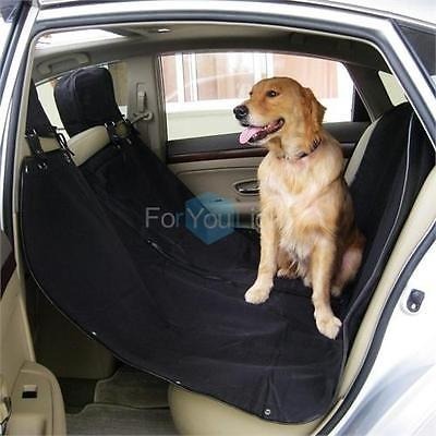 suv mascota próstata